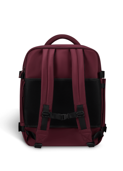 Lipault city plume backpack xs sales