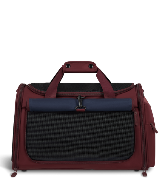 City Plume Pet carrier cats and dogs City Plume Pet carrier cats and dogs