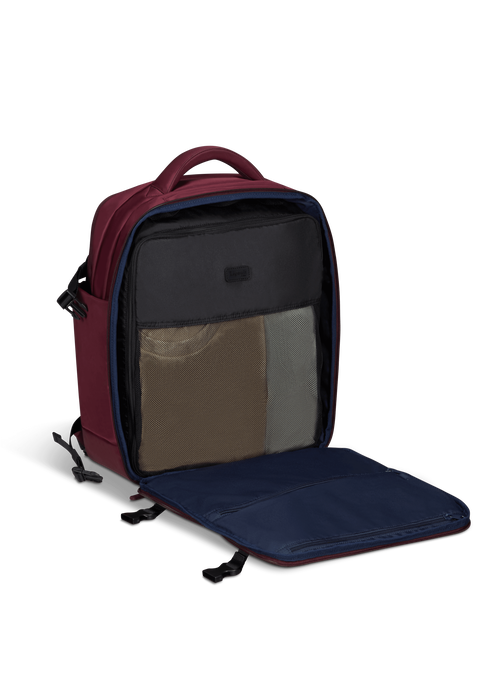 Lipault city plume backpack m cheap