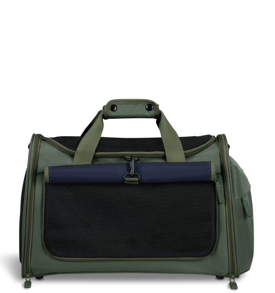 City Plume Pet carrier cats and dogs City Plume Pet carrier cats and dogs