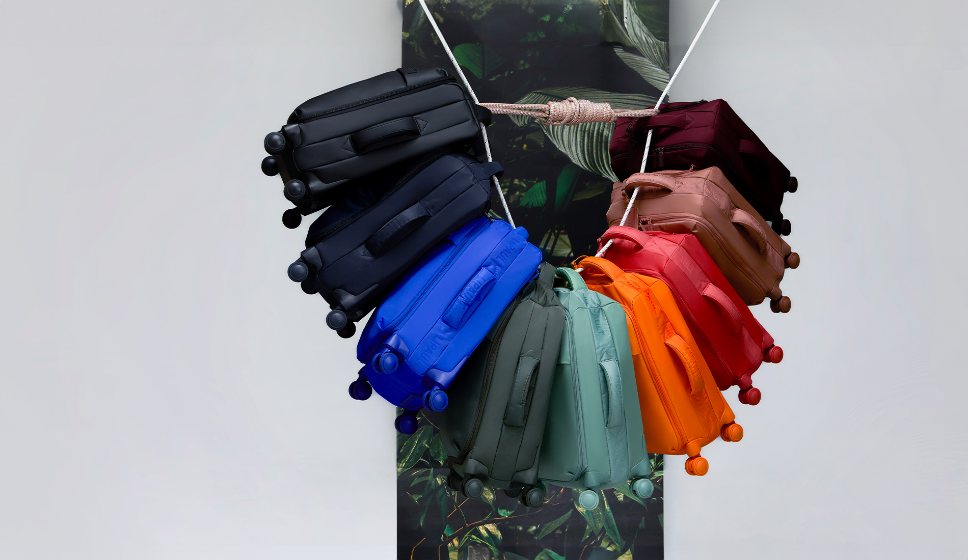 Plume Collection