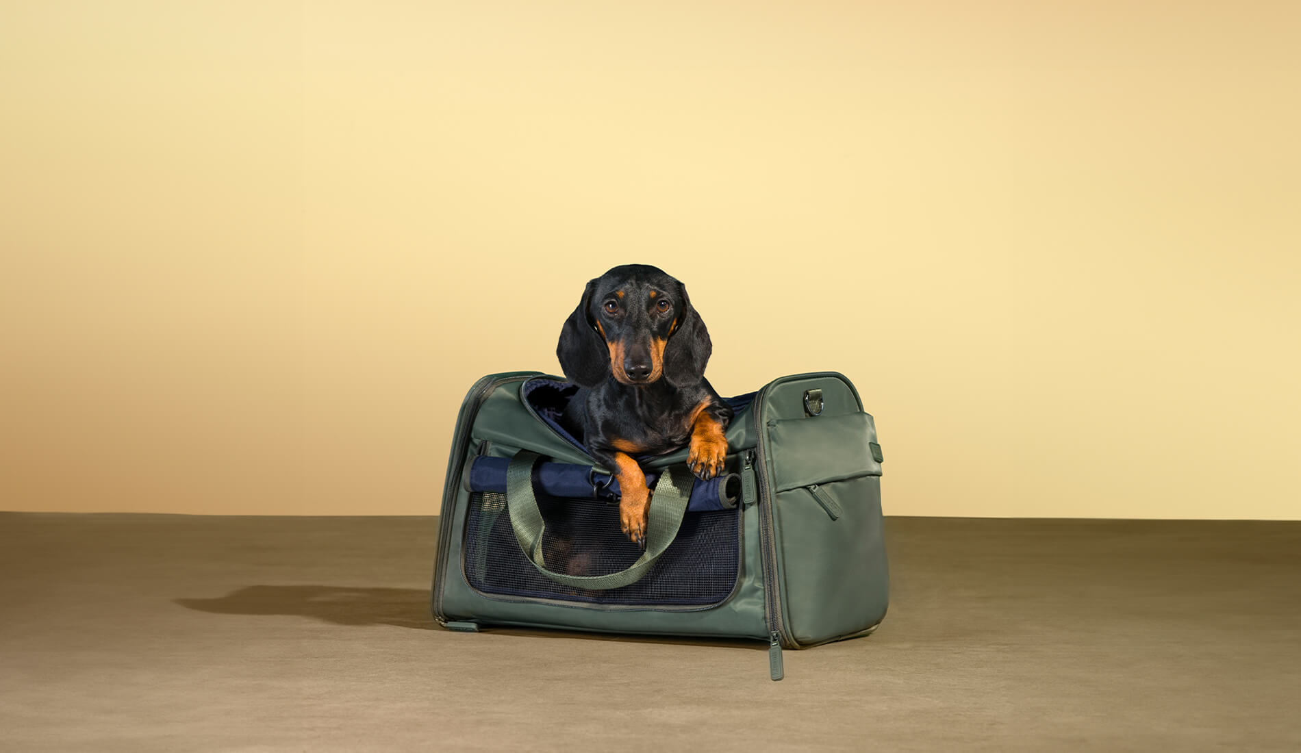 Pet carrier bag
